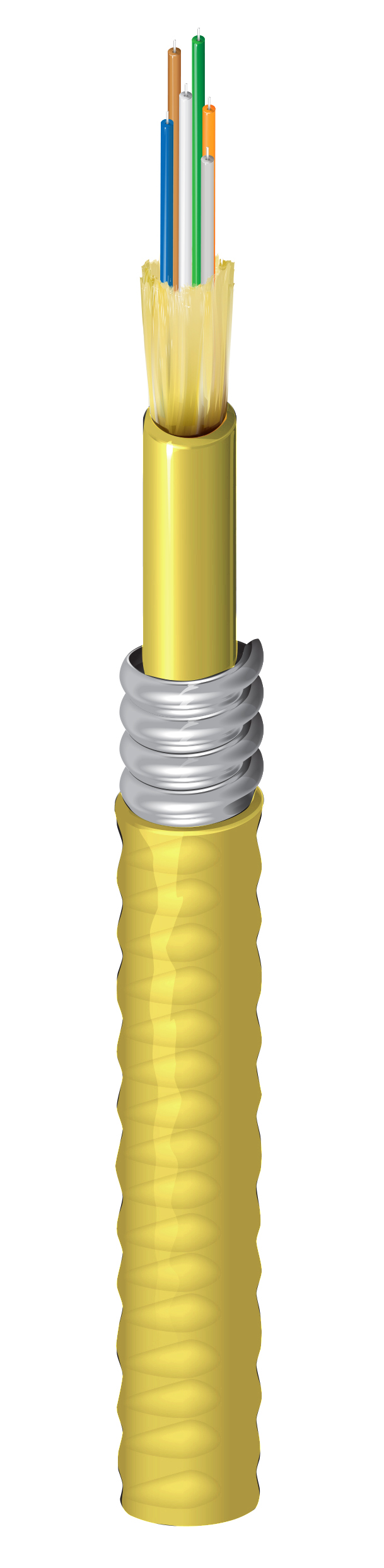 FISD006A9
