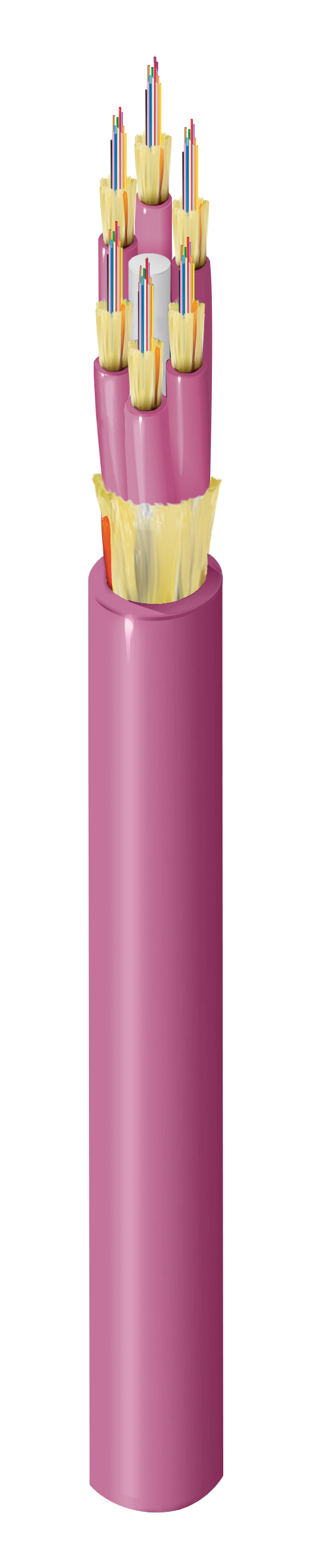 FI4M072P1