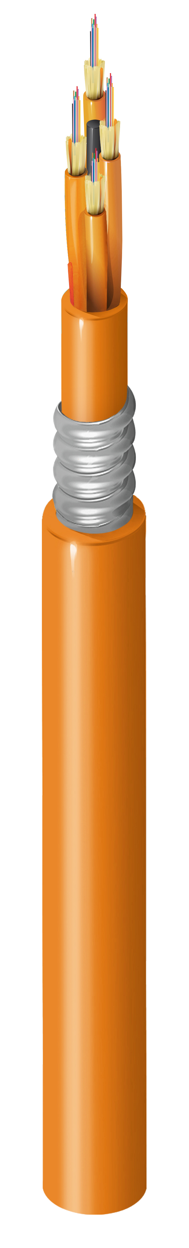 FI1M048A1
