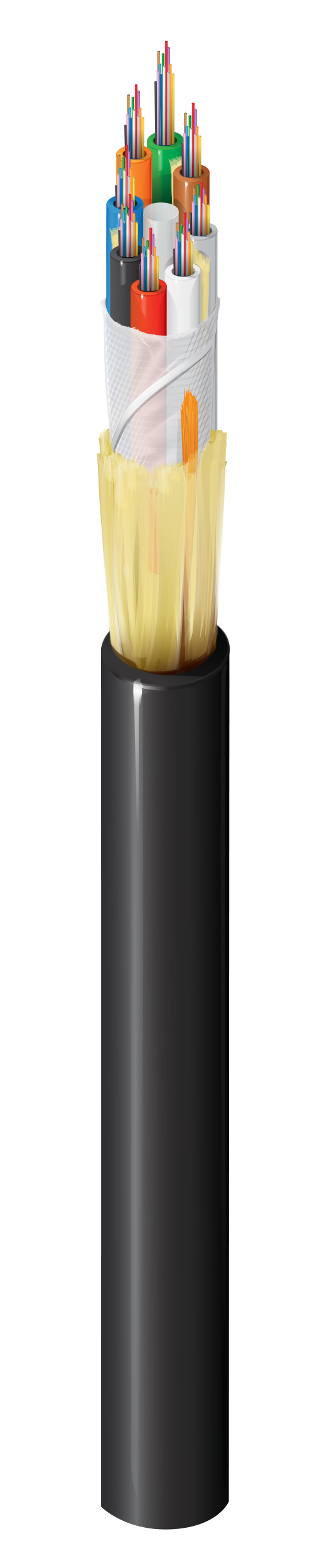 FD1L096RG