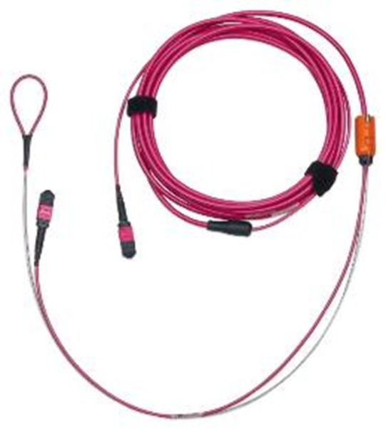 FM4MMB1010MAMDE