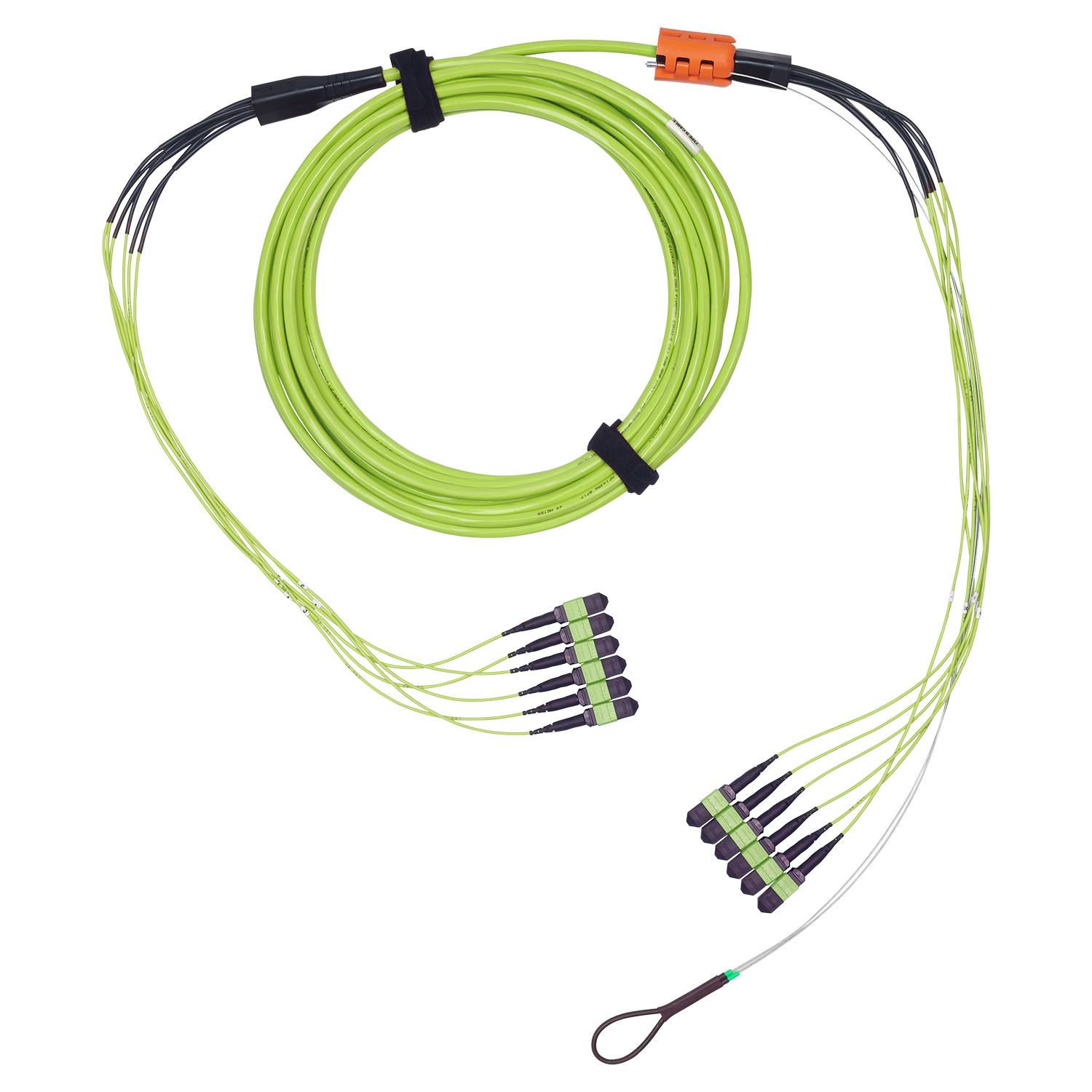 FM5MMB6010MPUEL