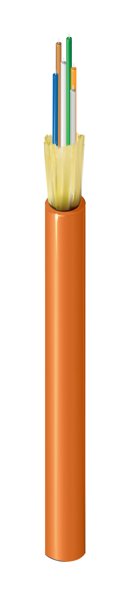 FI1D006R9