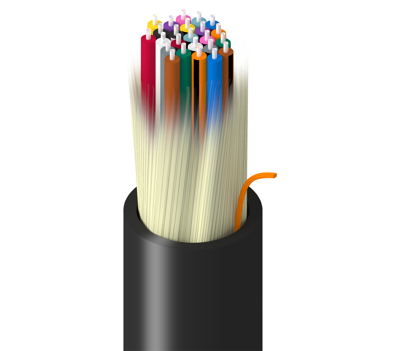 TF-1D9-024-RN5