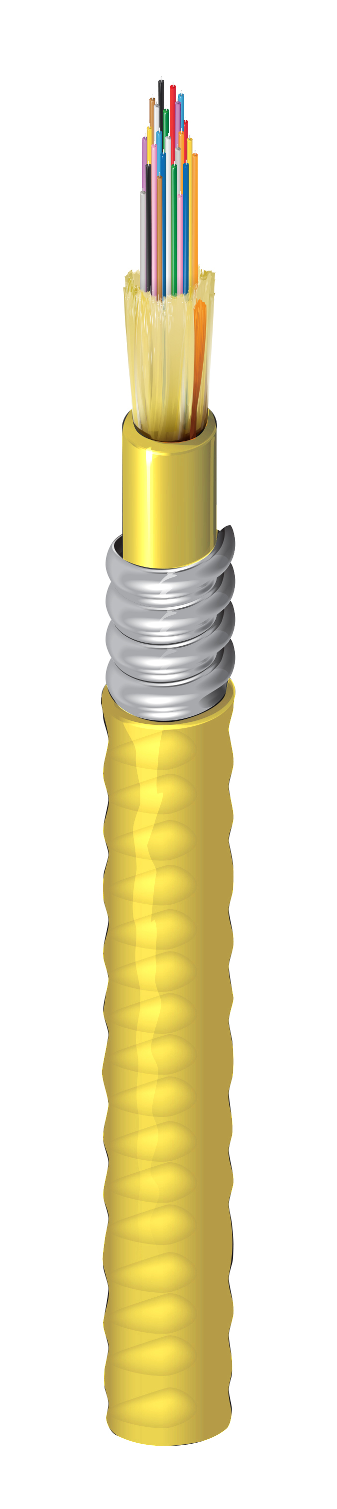 FISD024A9