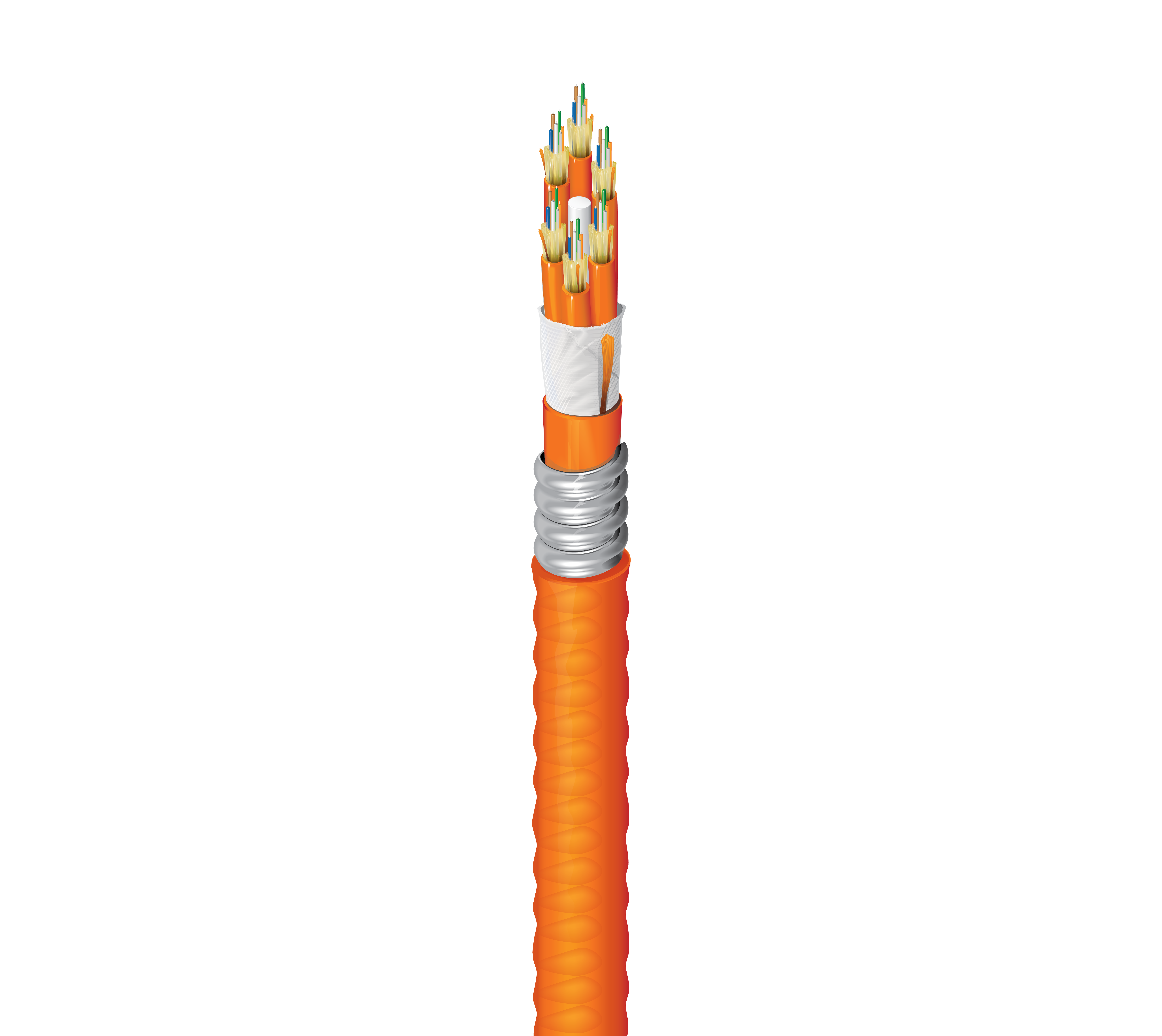 FI1D036AJ