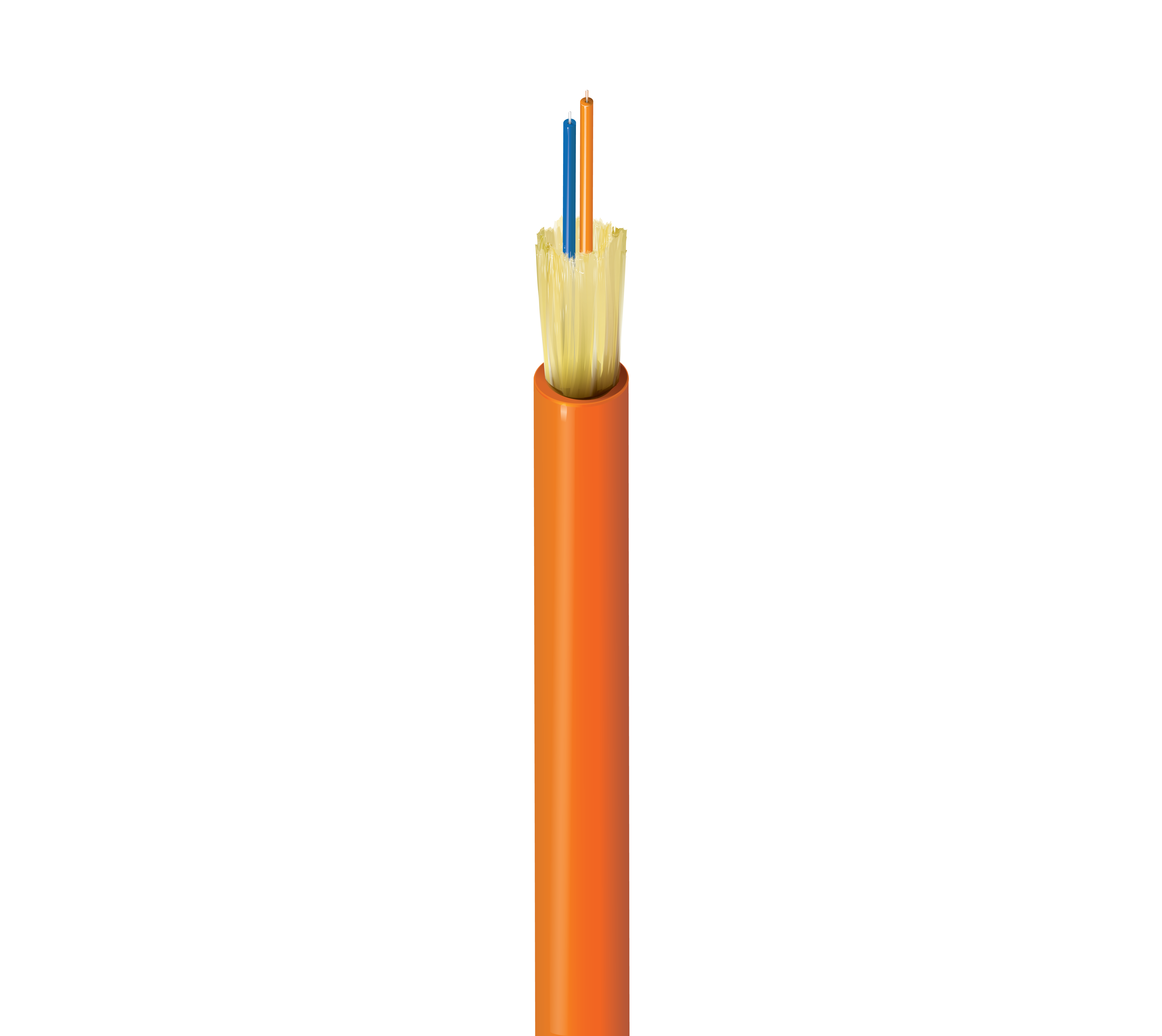 FI2D002R9