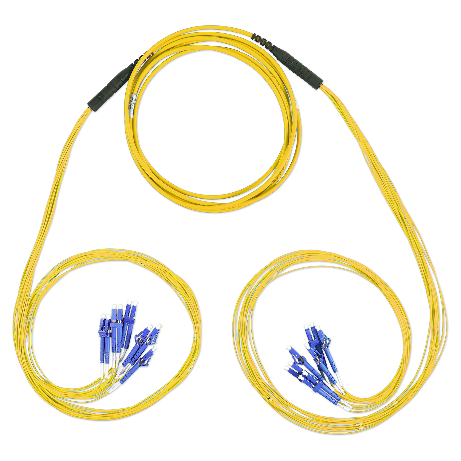 AS12LDELDEP003M