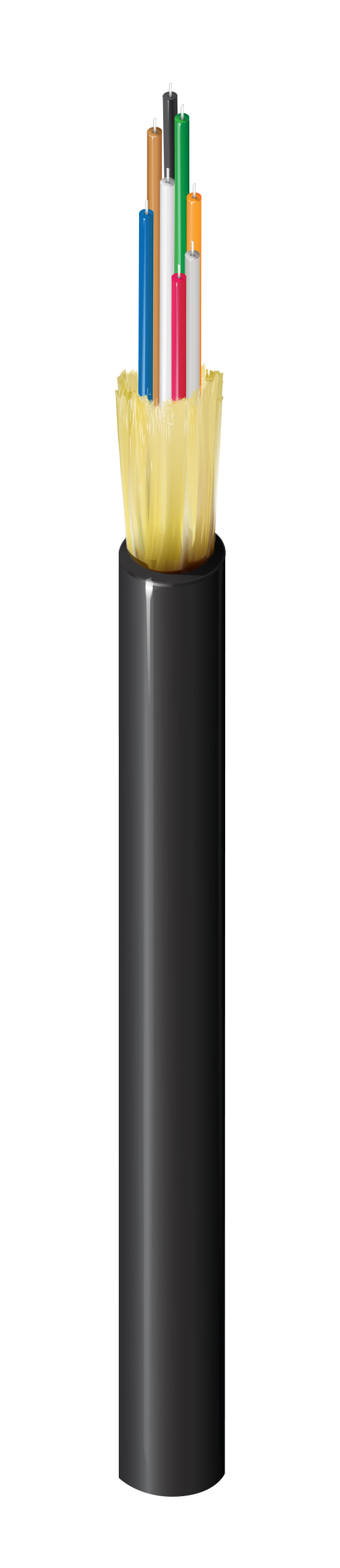 FD1D008R9