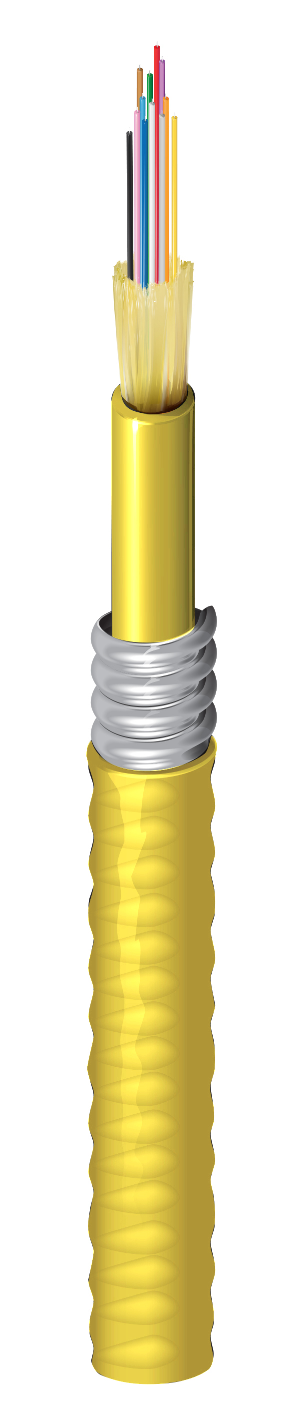 FISD012A9