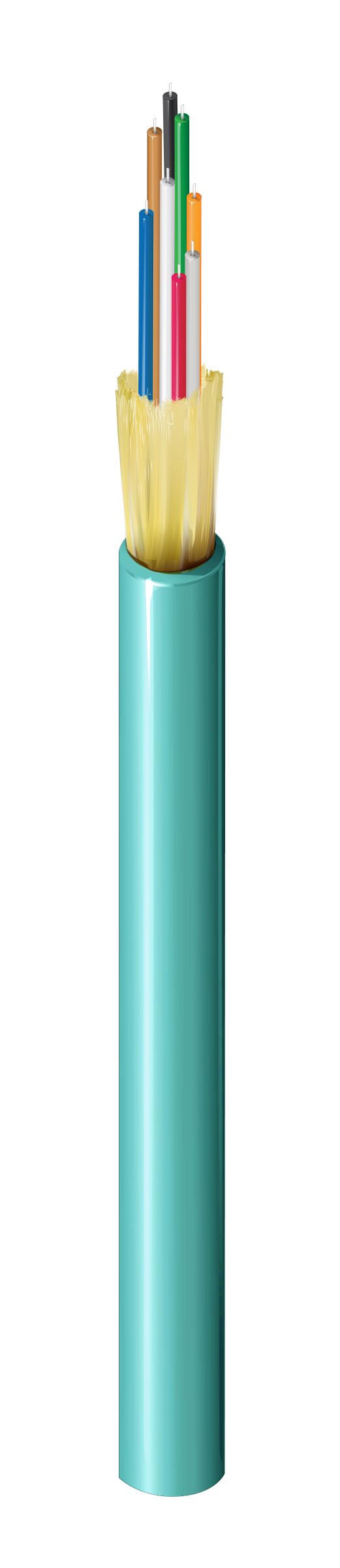 FI3D008P9