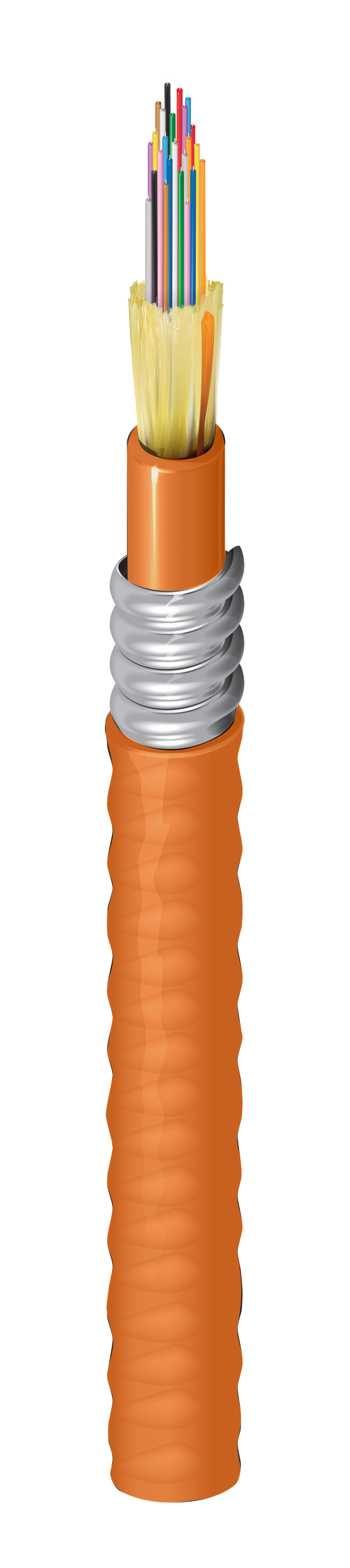 FI2D024A9