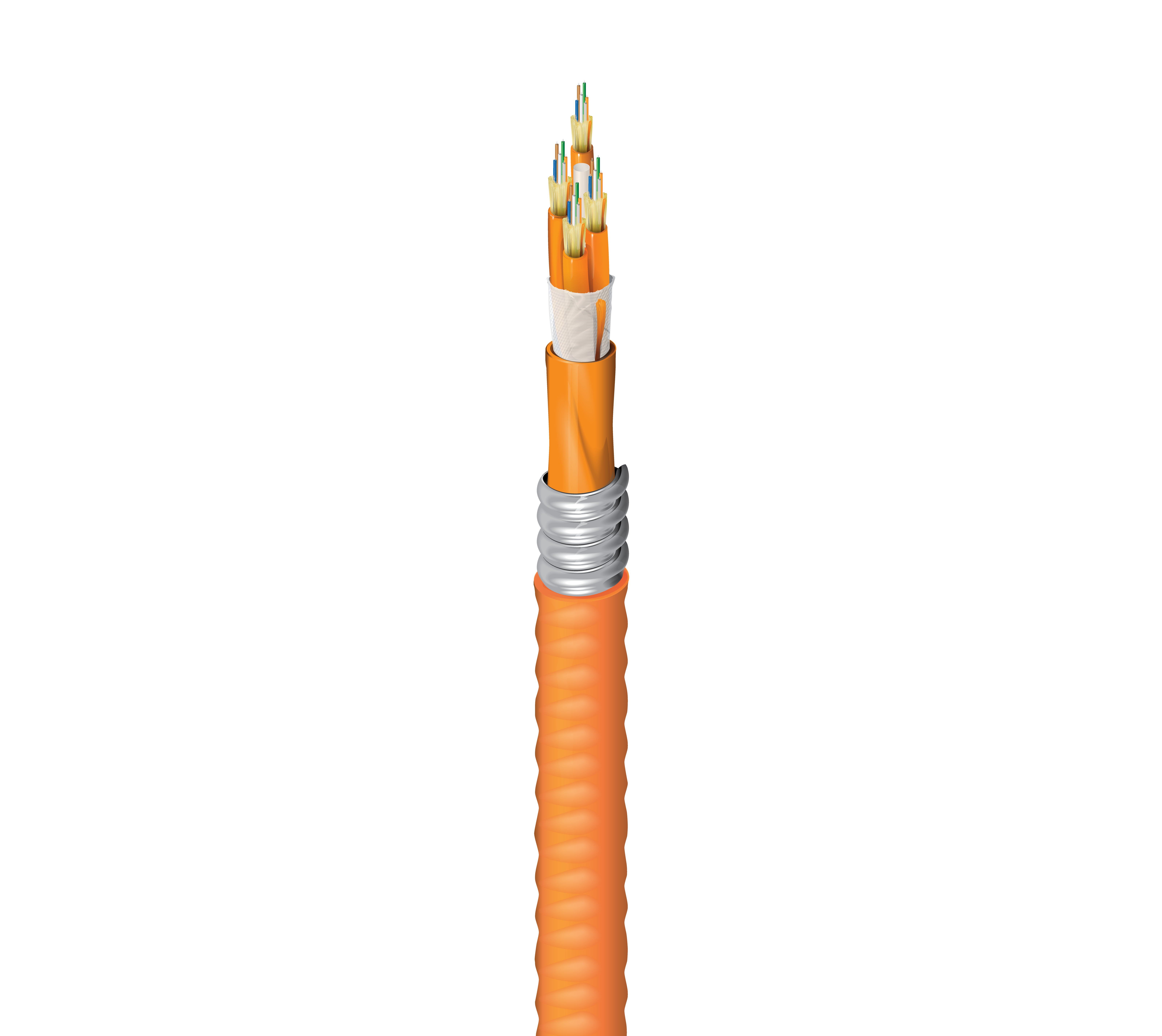 FI1D024AJ