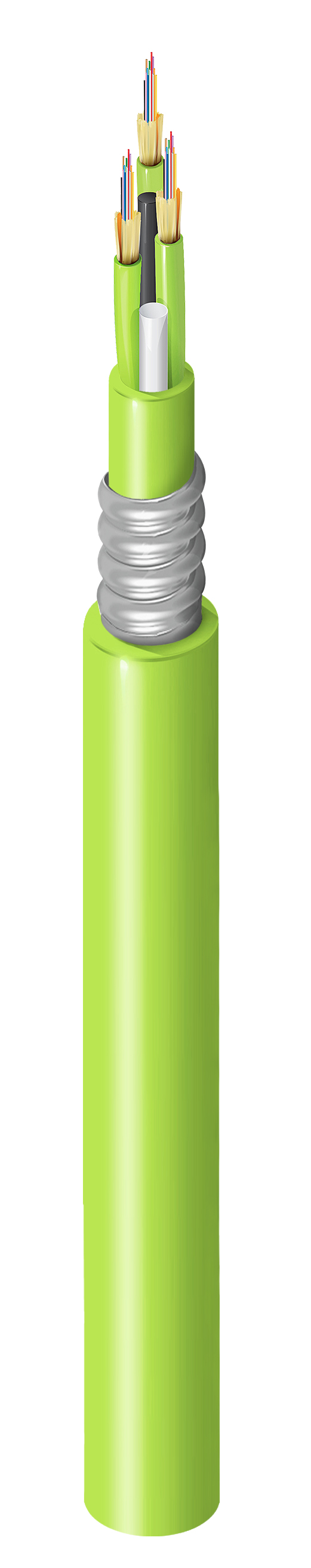FI5M036A1