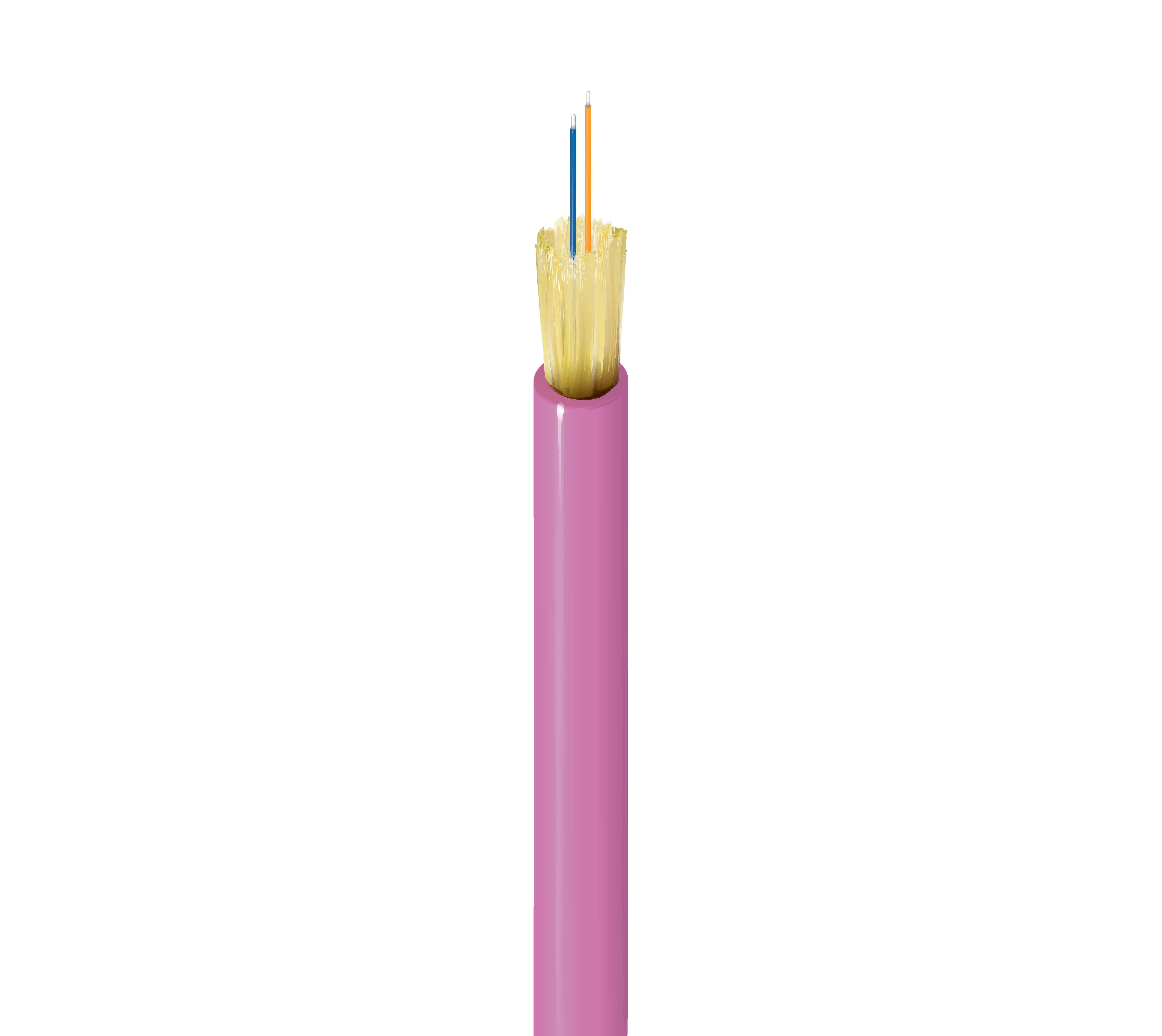 FI4I002P0