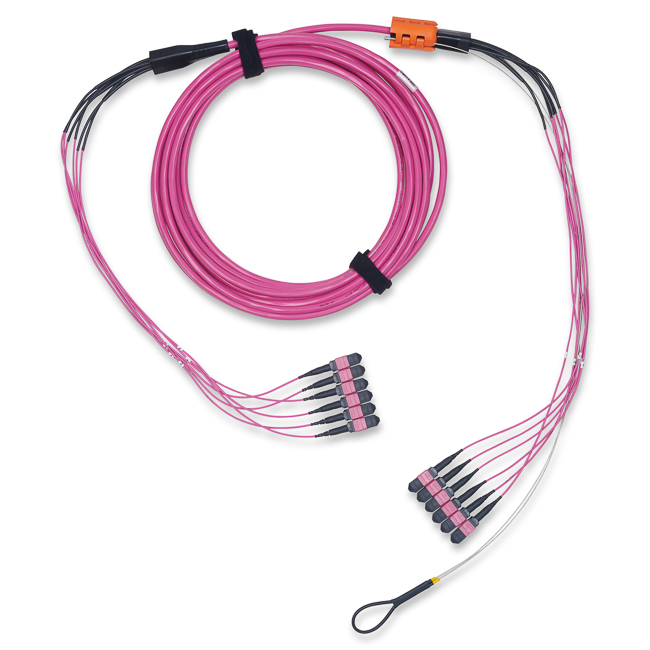 FM4MMB6010MPUEE