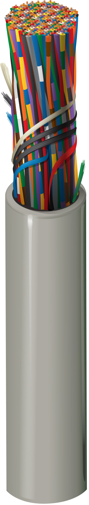 DPLN300