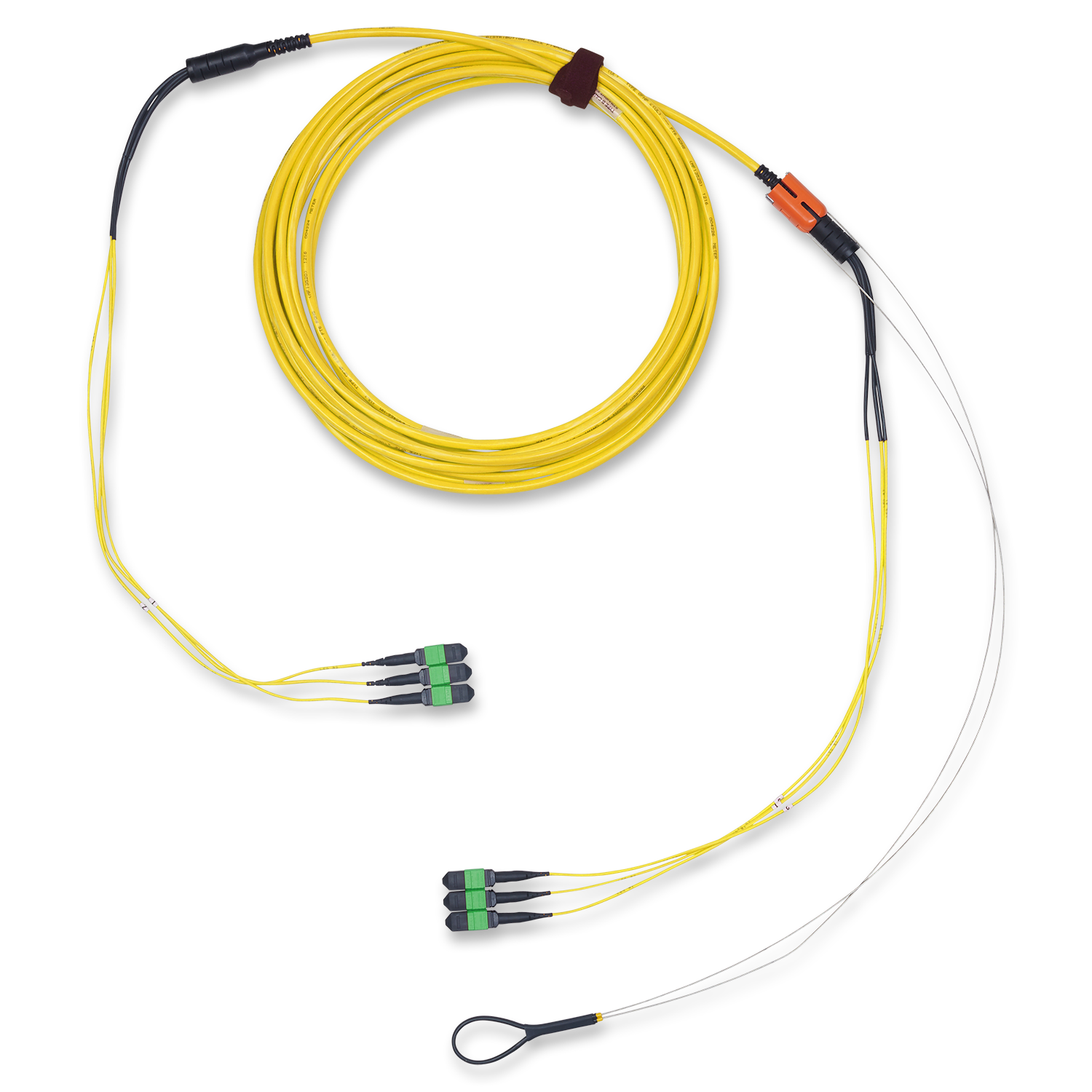 FMS4MB3010M