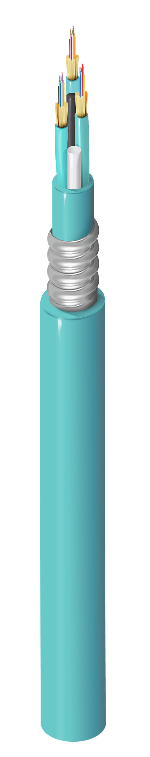 FI3M036A1