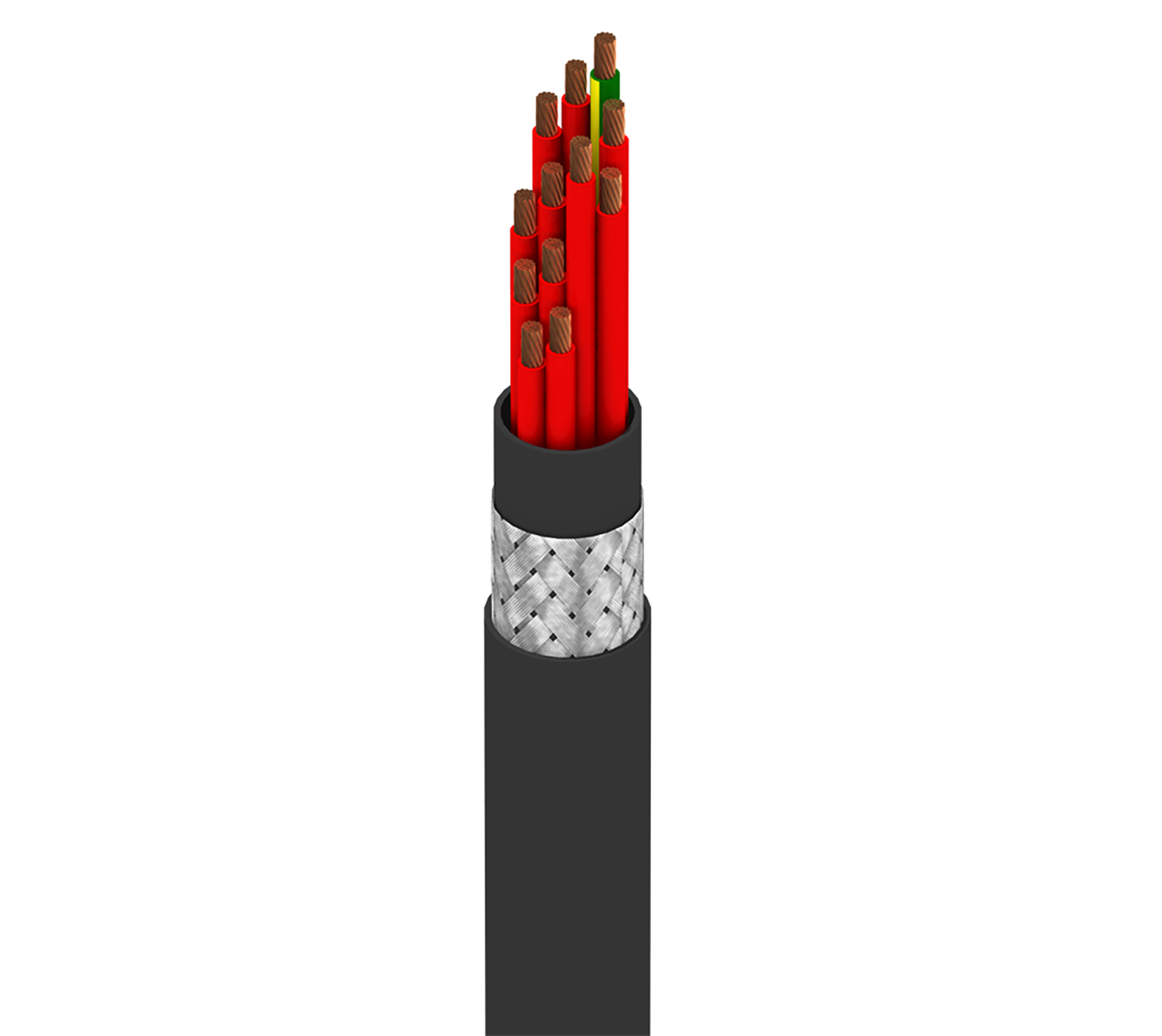 77812WS