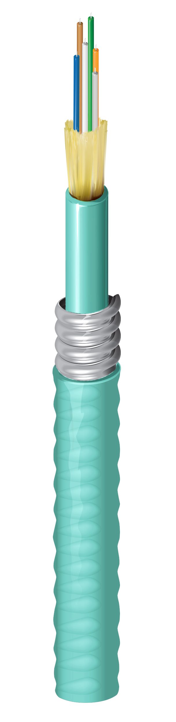 FI3D006A9