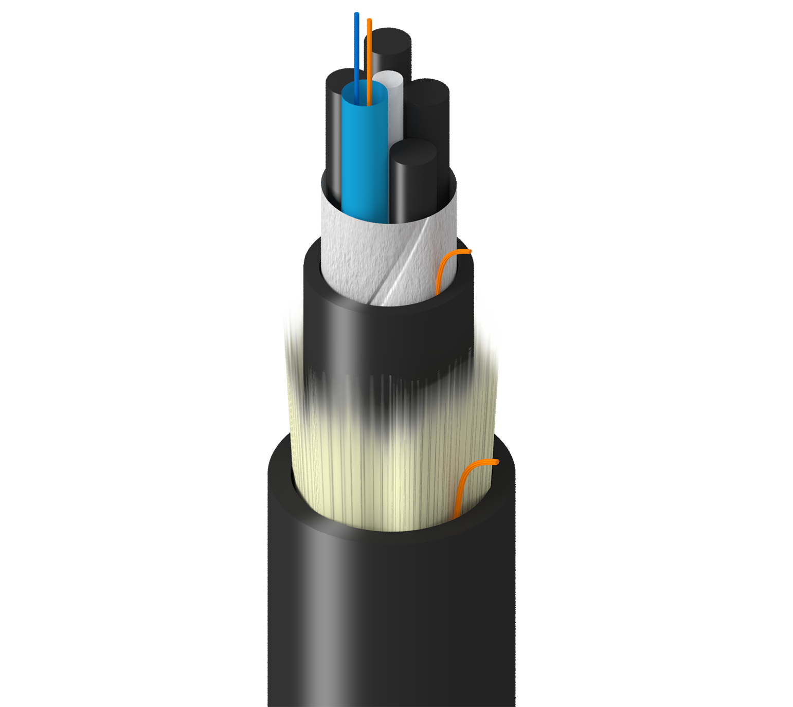 TF-SLF-002-R25