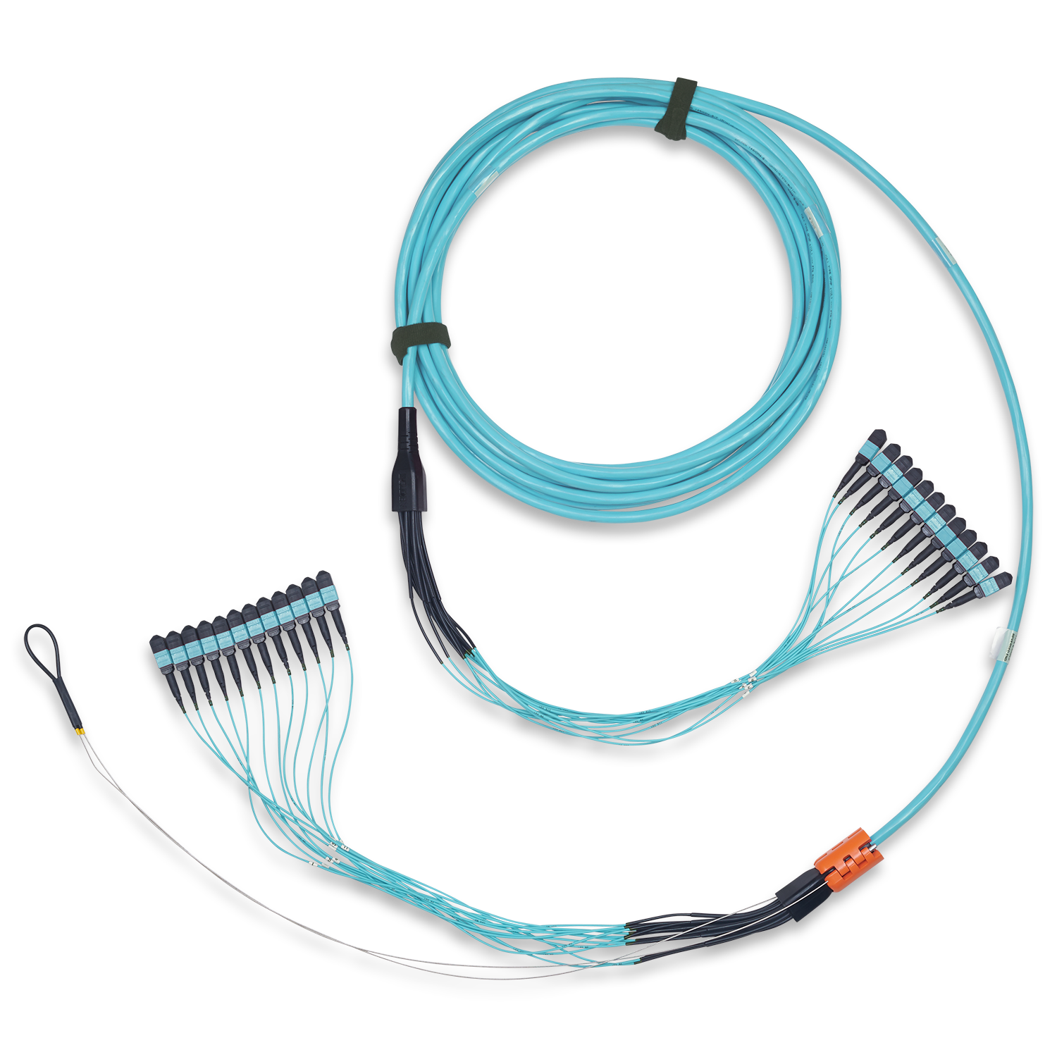 FM3MMB8010M
