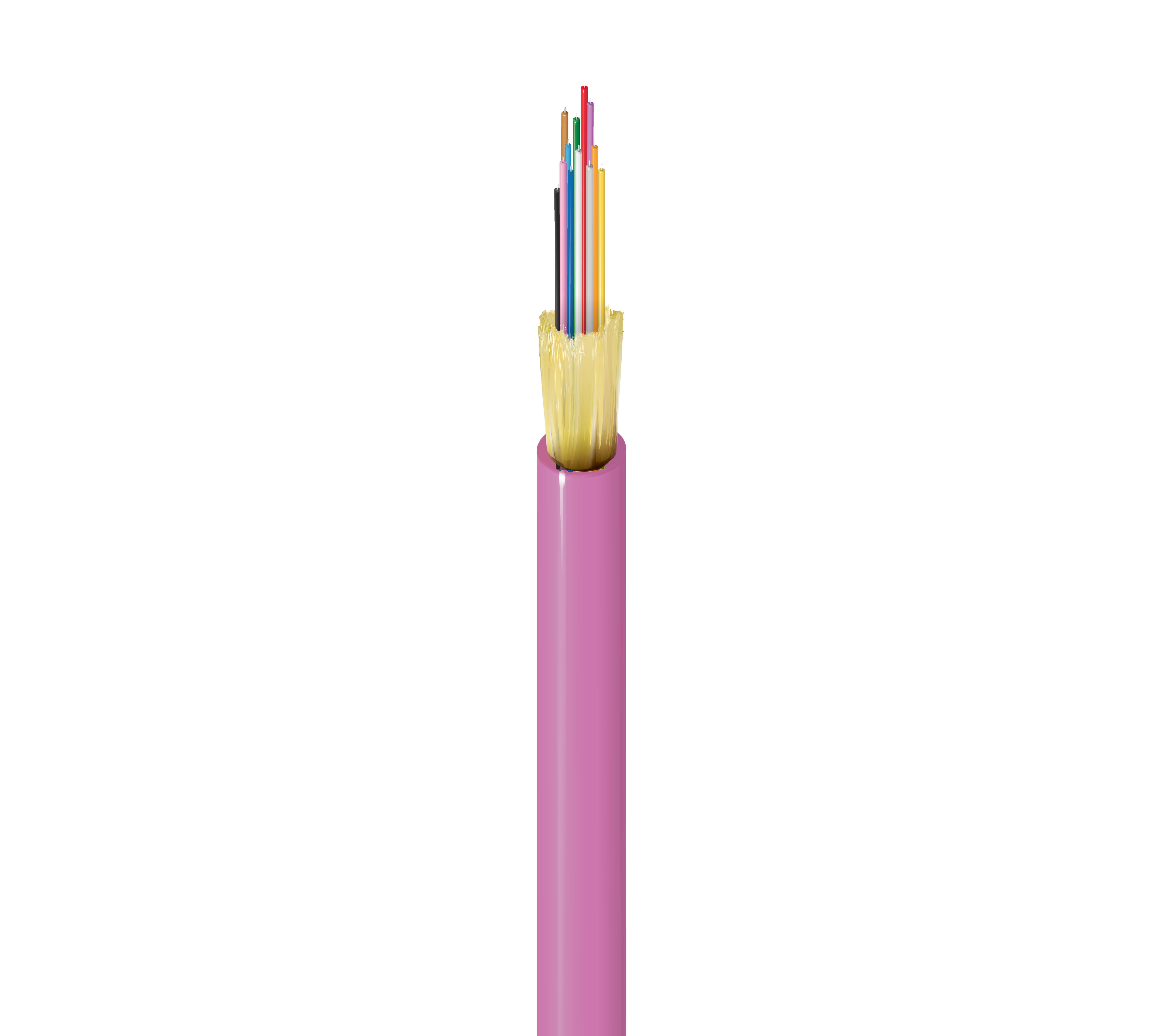 FI4I012P0