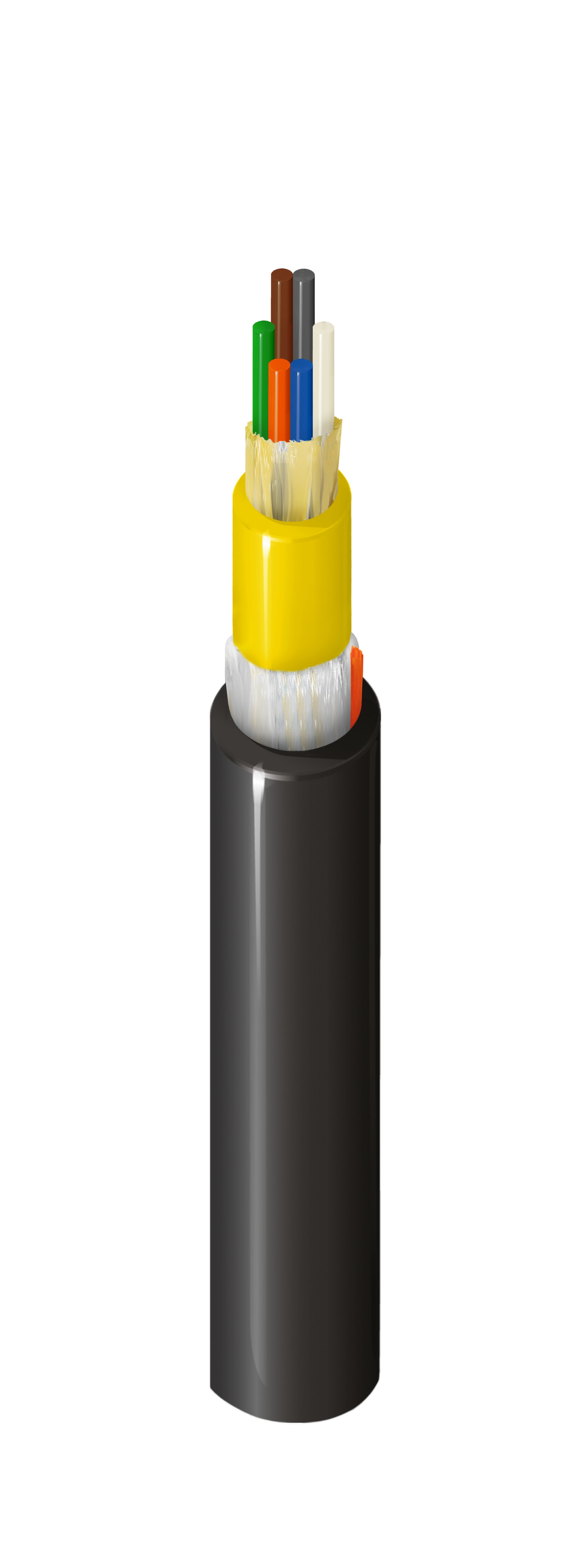 FDSM006P0