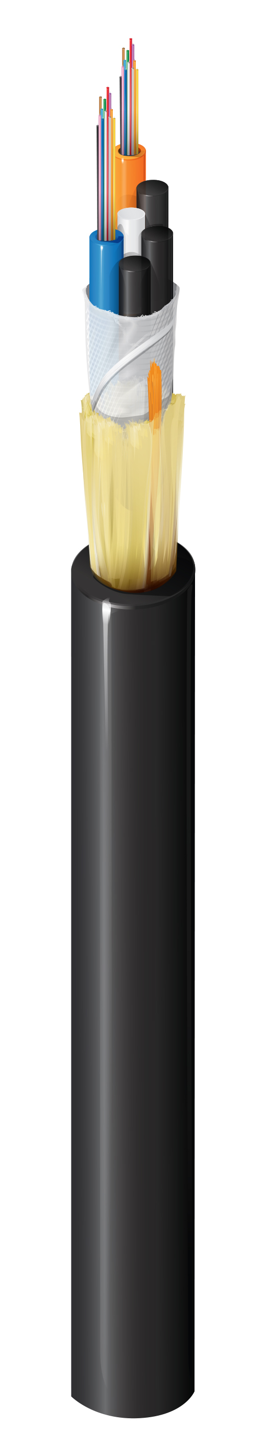 FS1L024NG