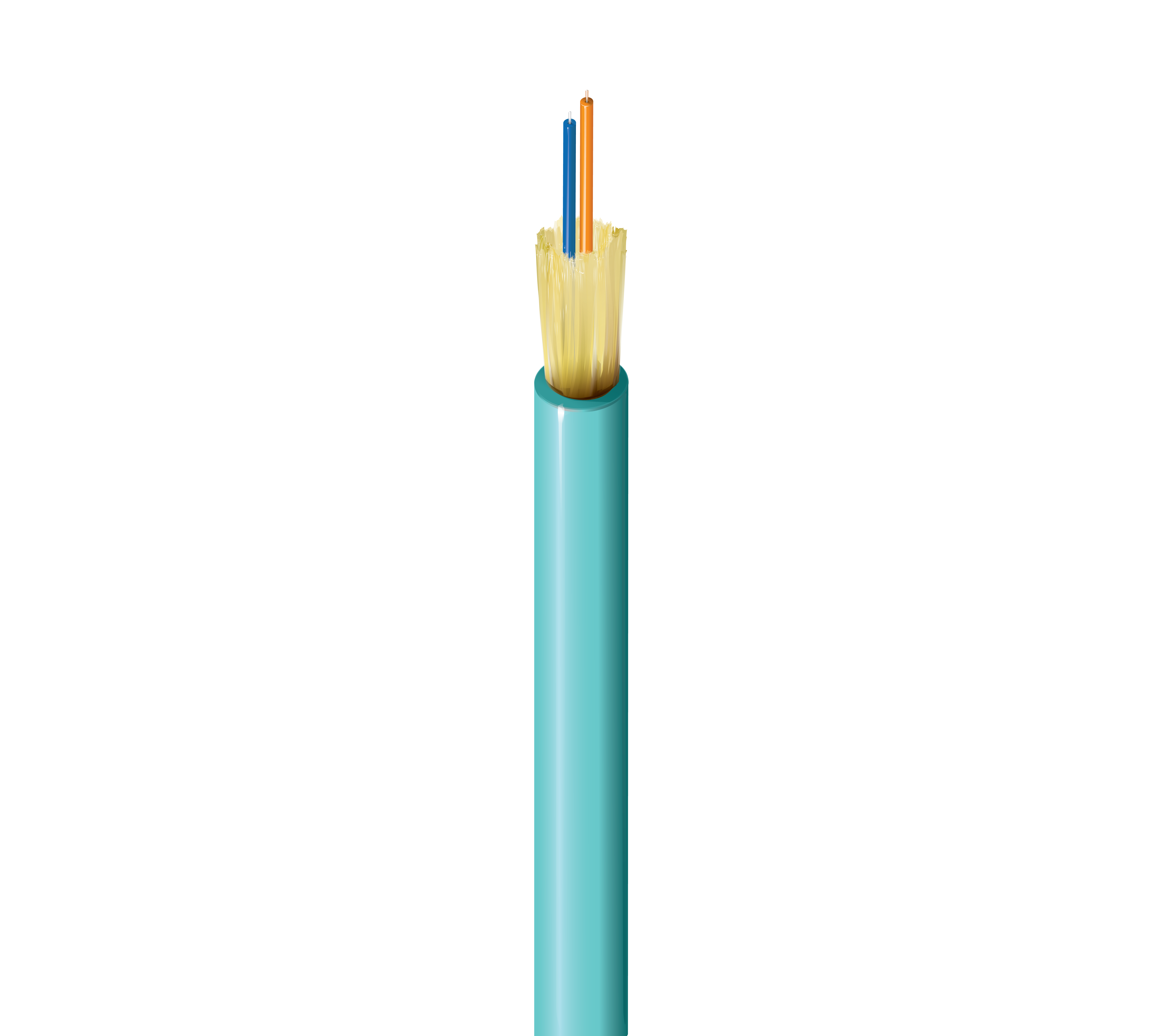 FD4D002L9A