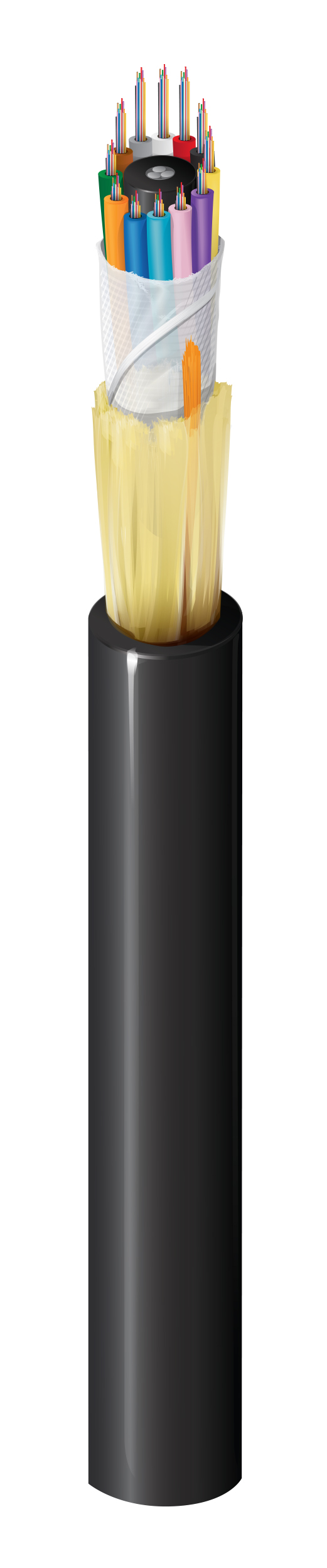 FD1L144RG
