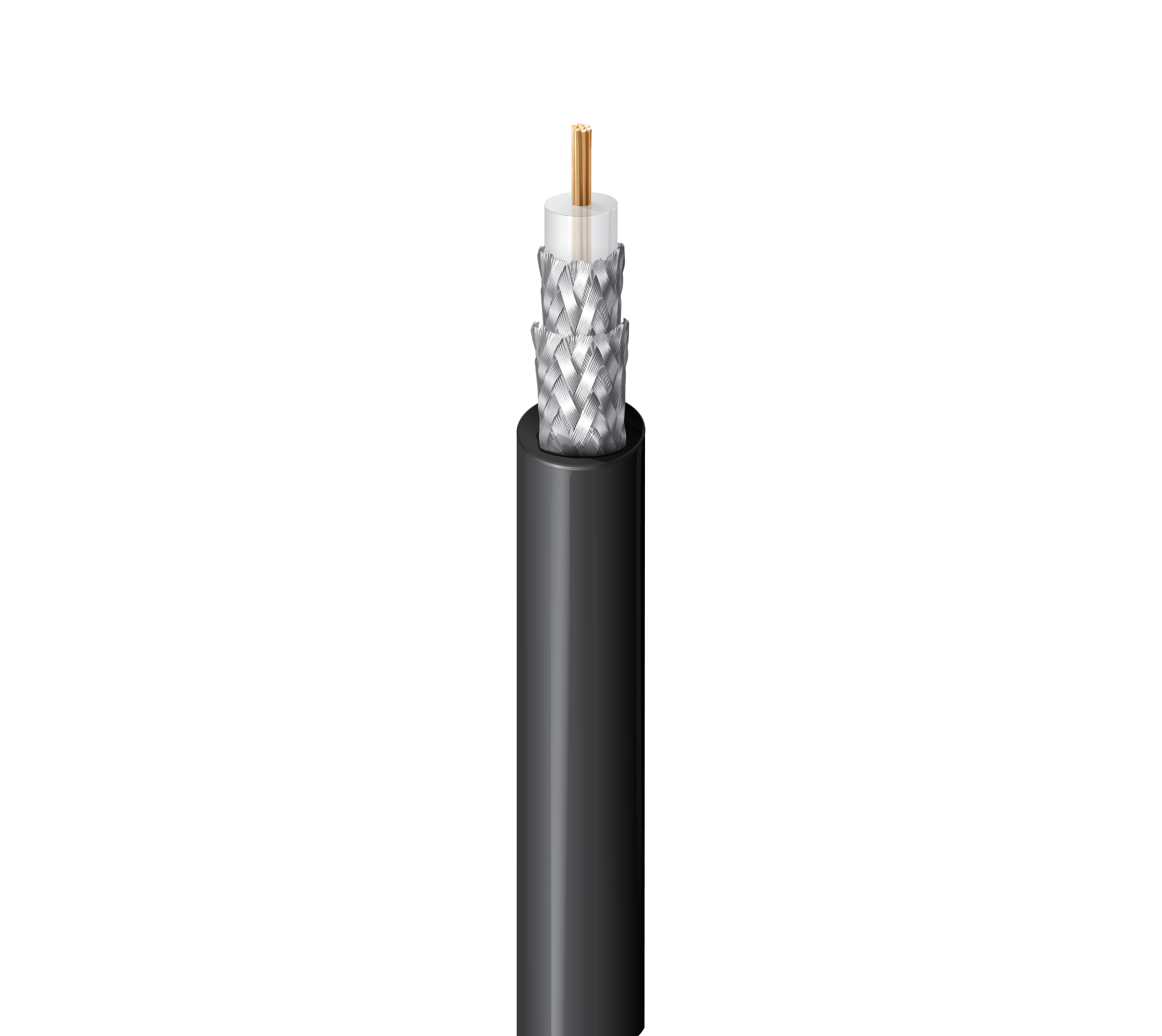 8281F