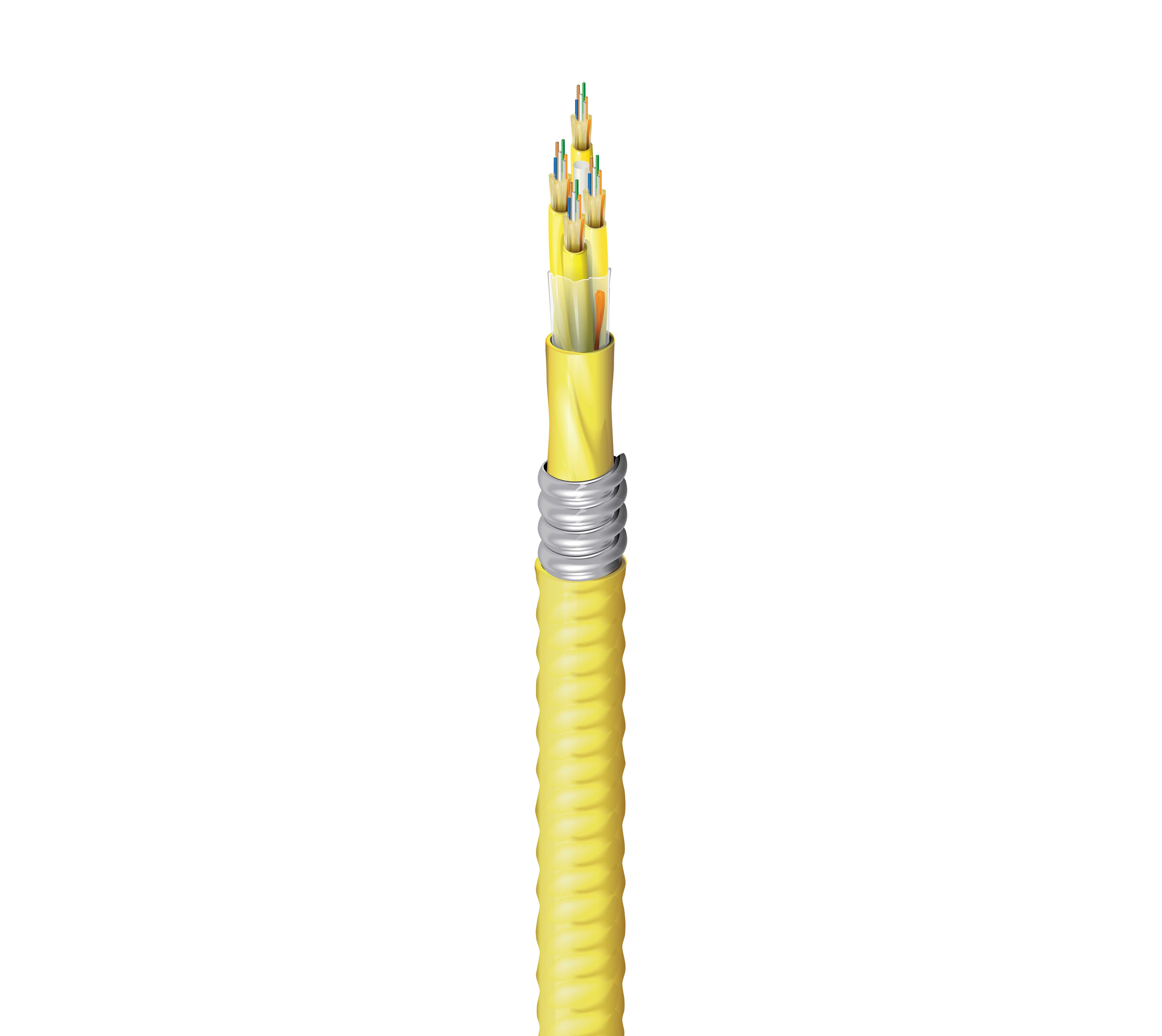 FISD024FJ