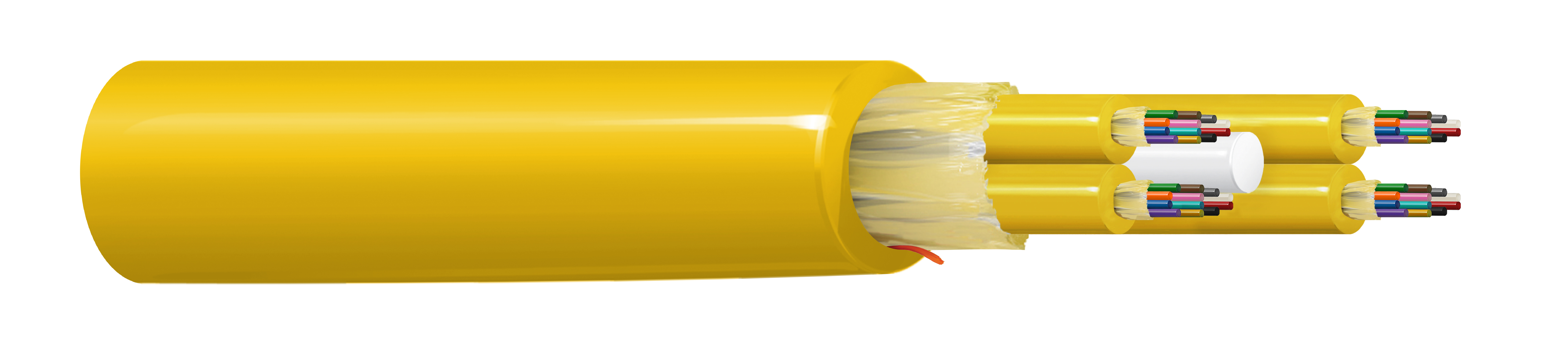 FIBM048P1