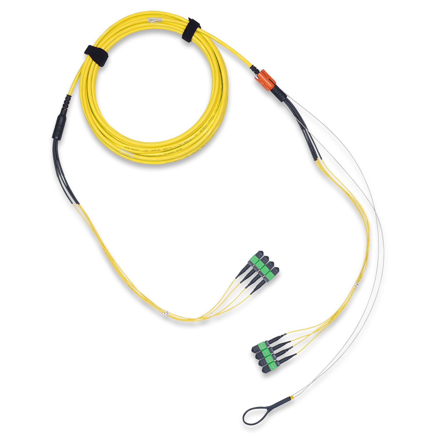 FMS4MB4xxxM