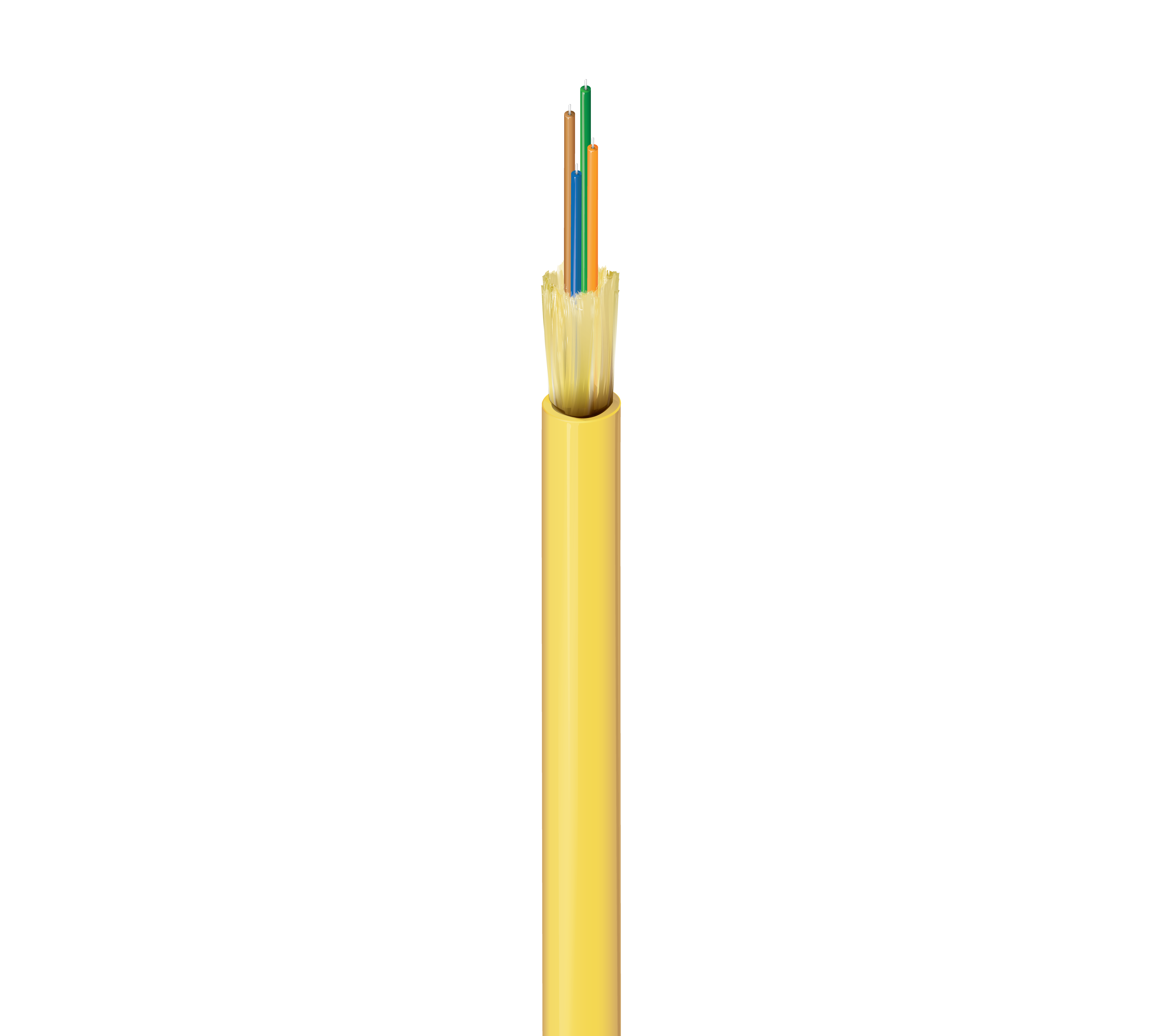 FISD004P9