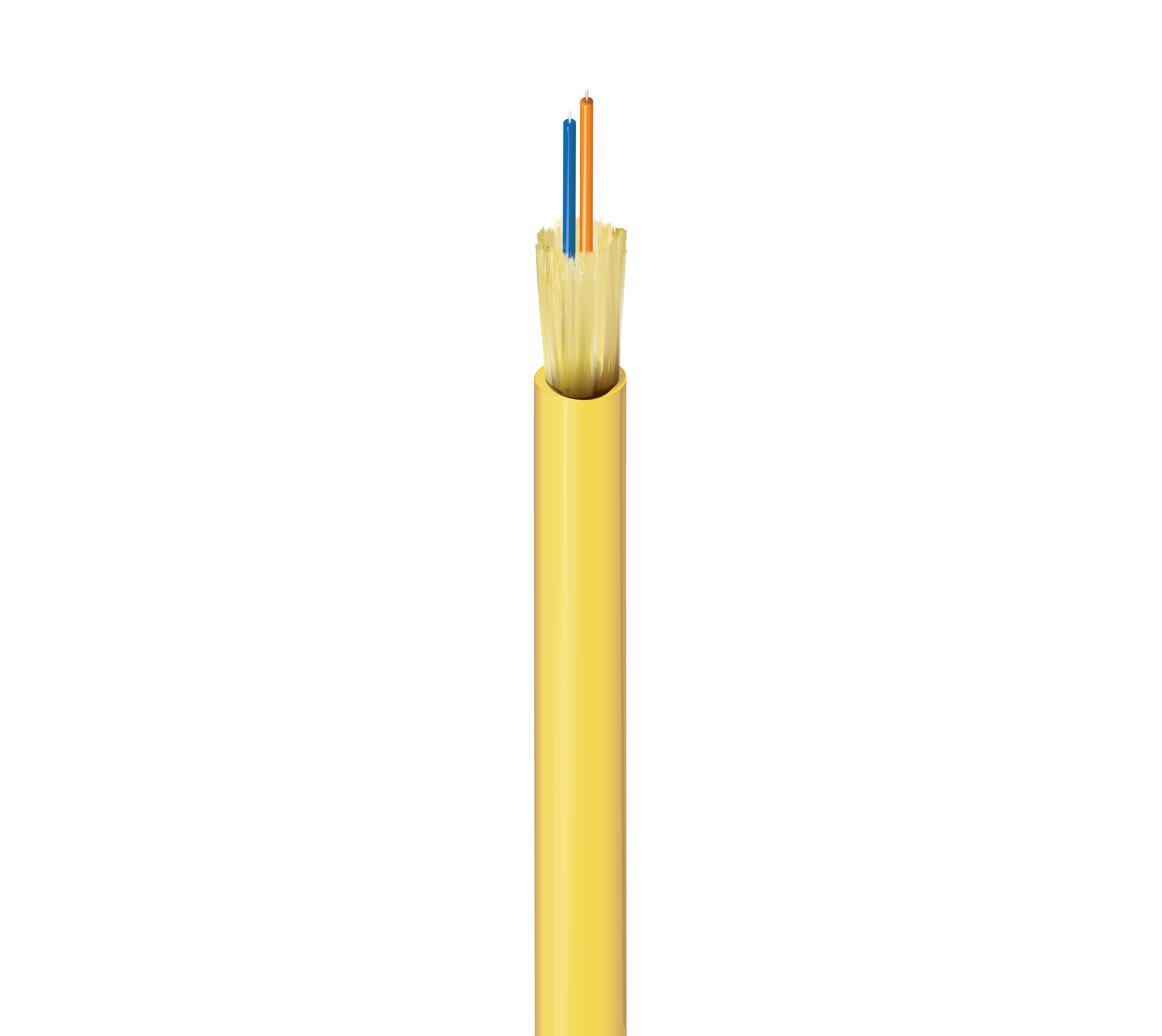 FISD002R9