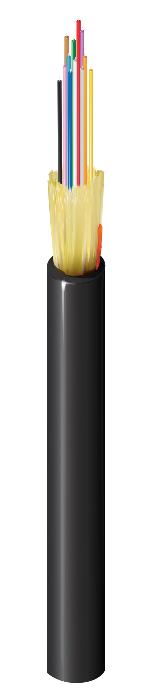 FD1D012L9