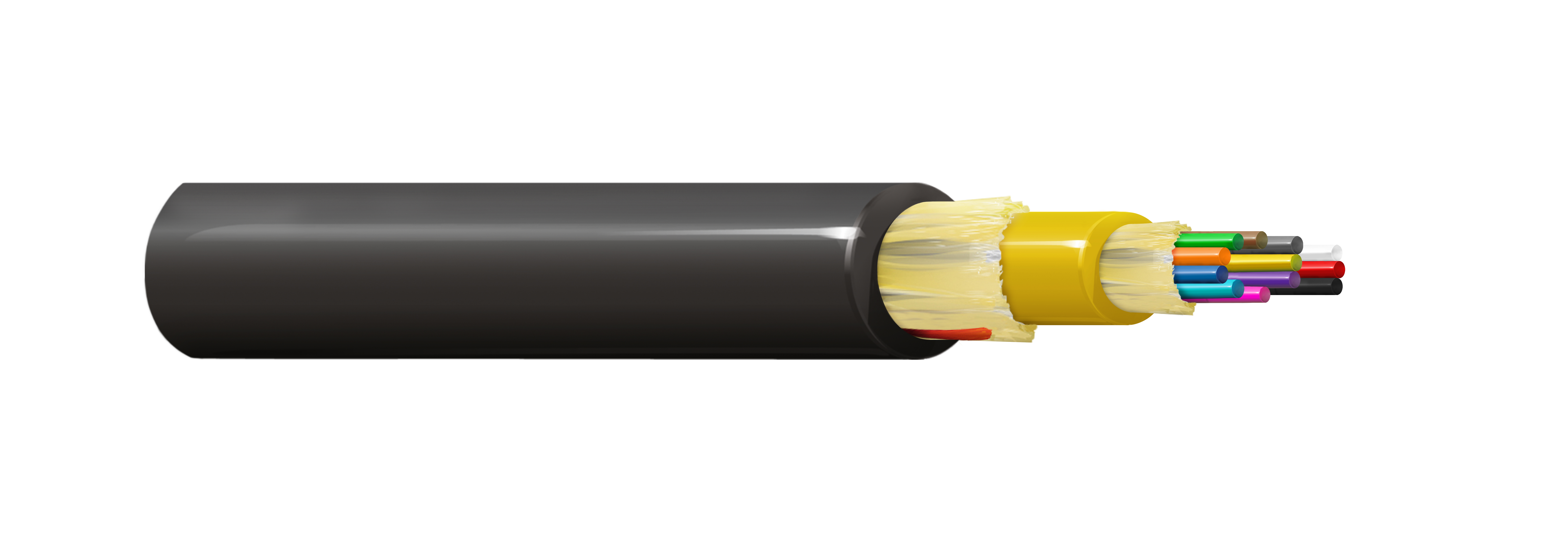 FDSM012P2