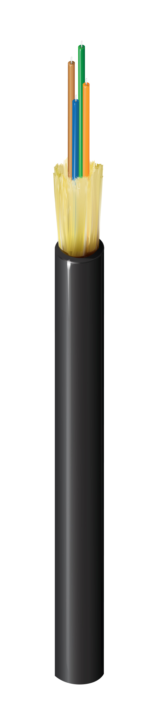 FDSD004R9