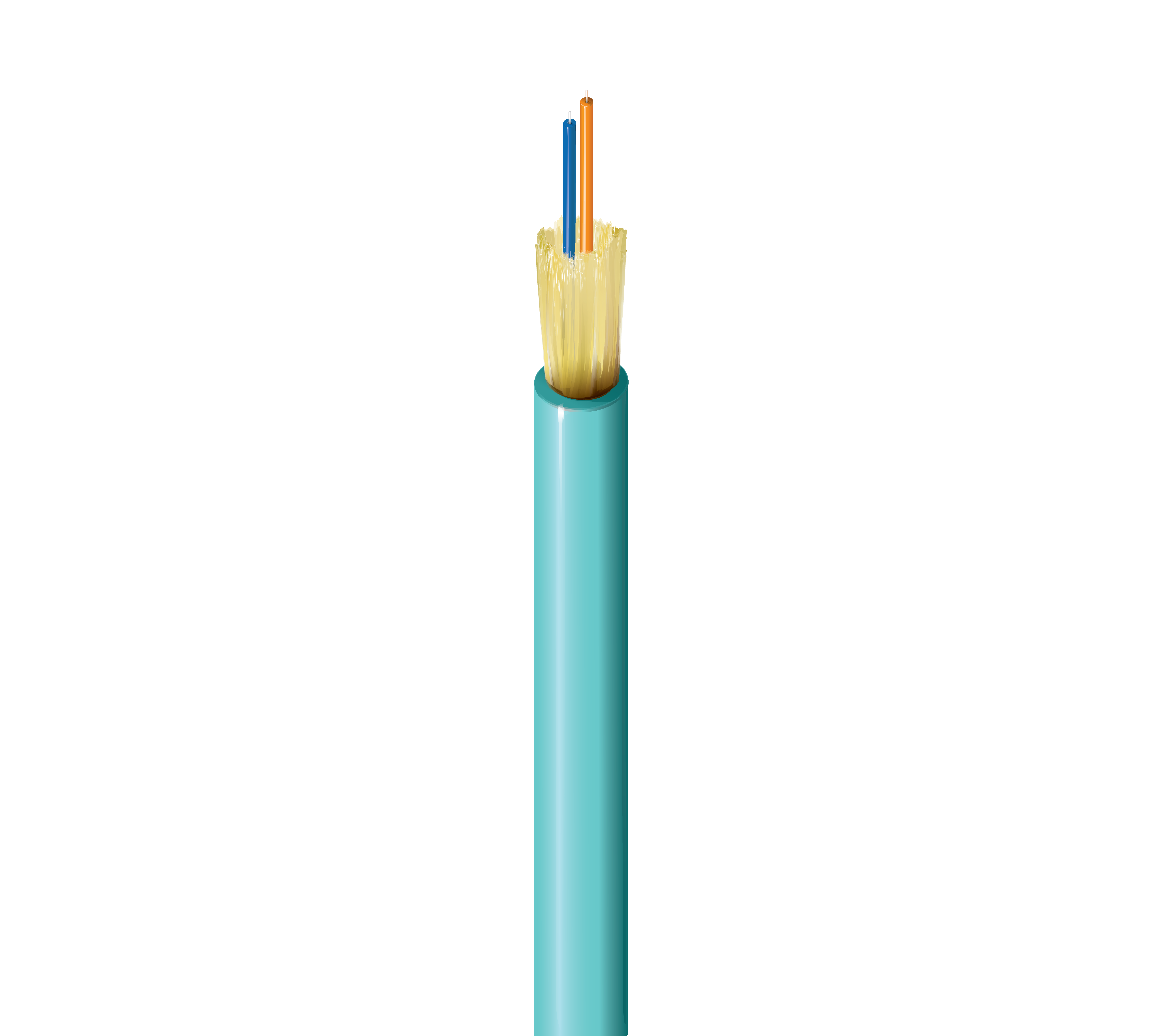 FI4D002R9A