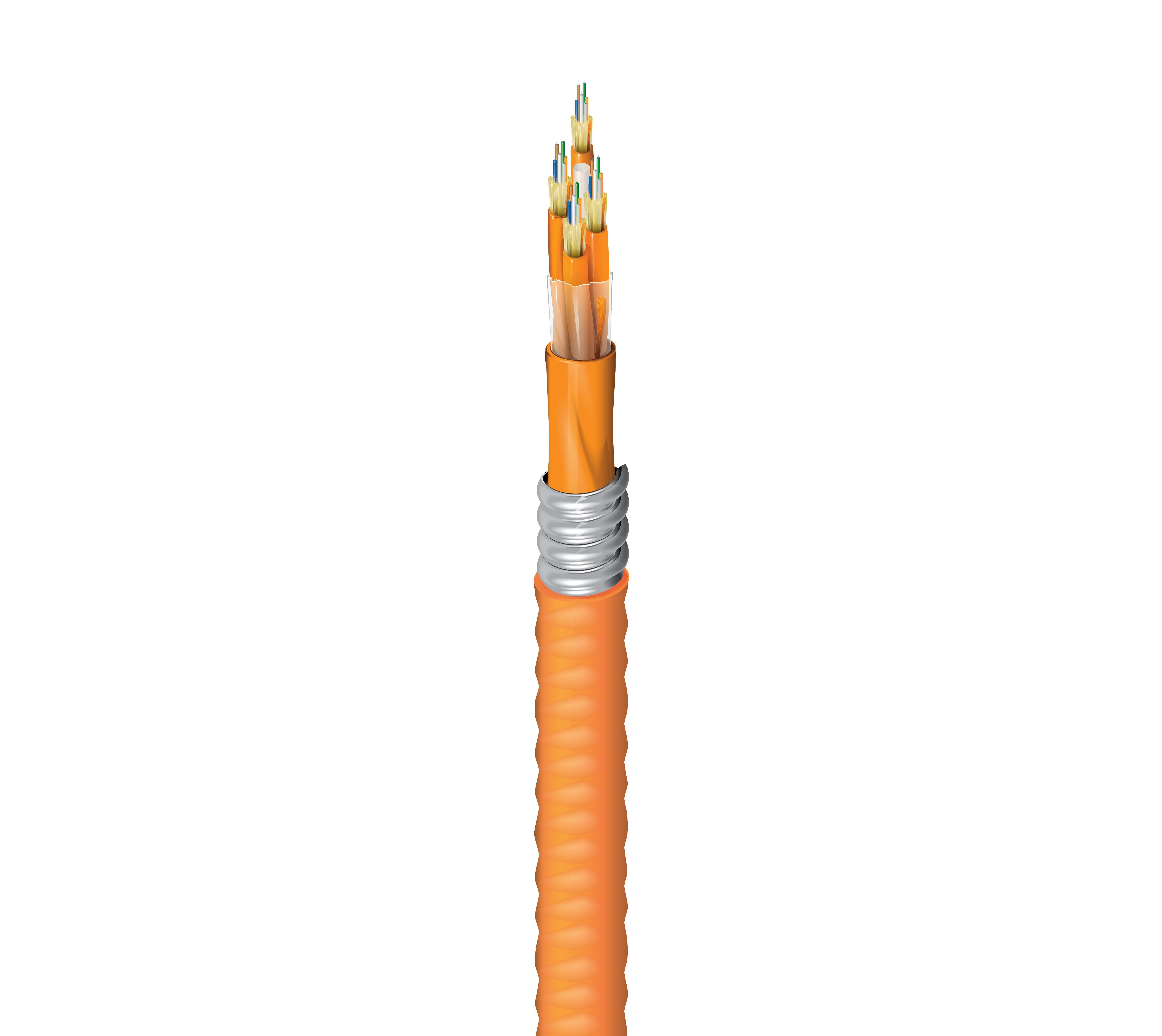 FI1D024FJ