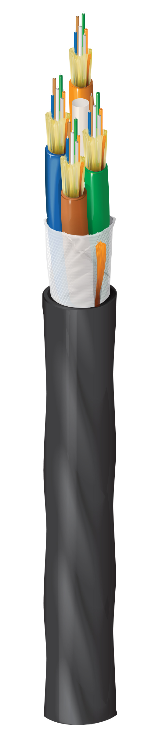 FD1D024PJ