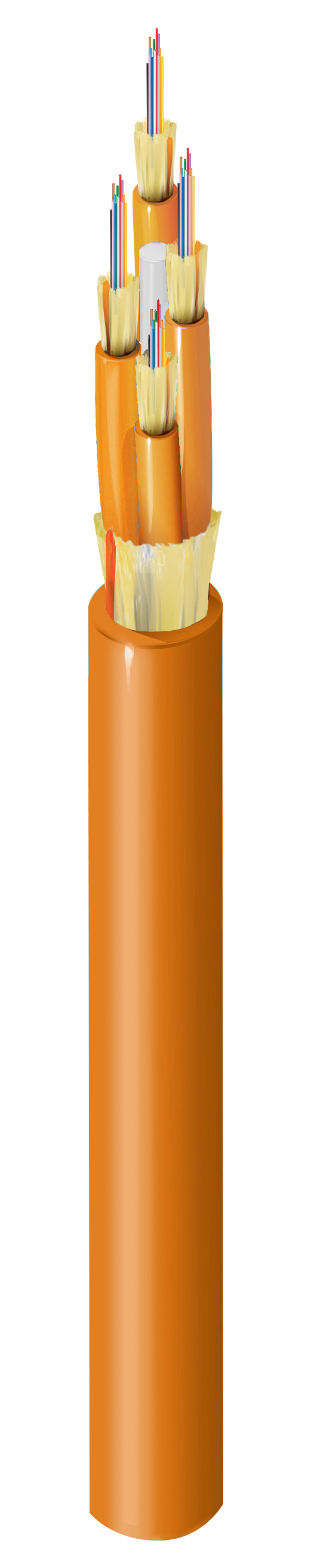 FI1M048P1