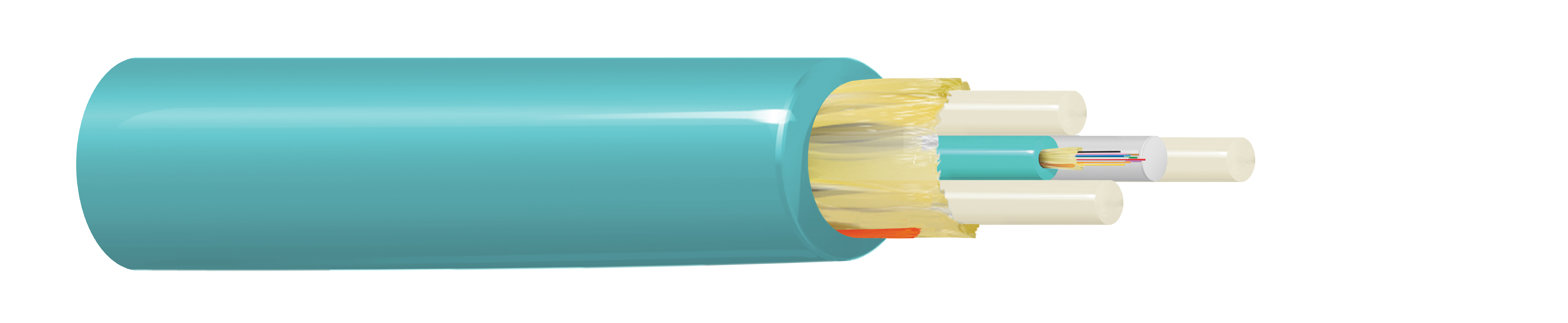 FI3M012P1