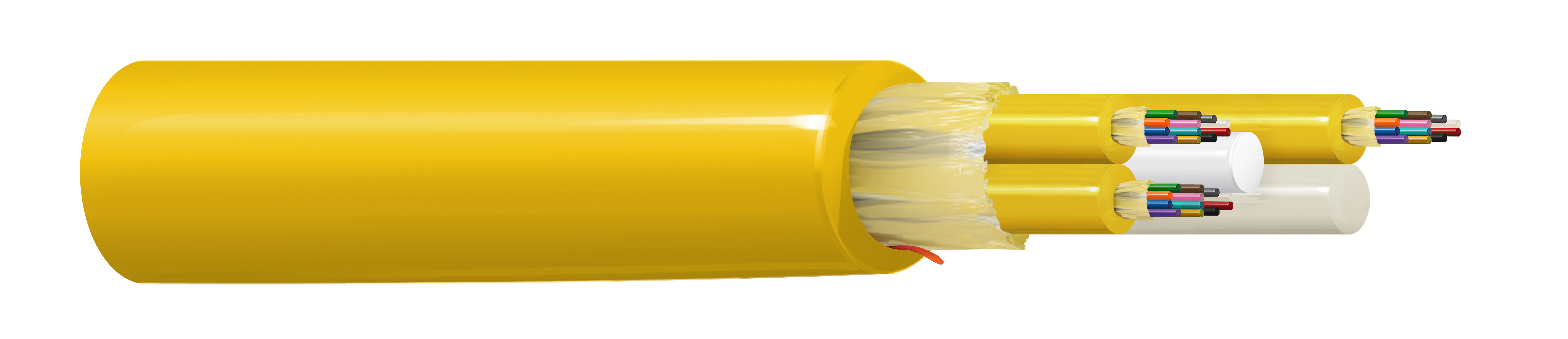 FIBM036P1