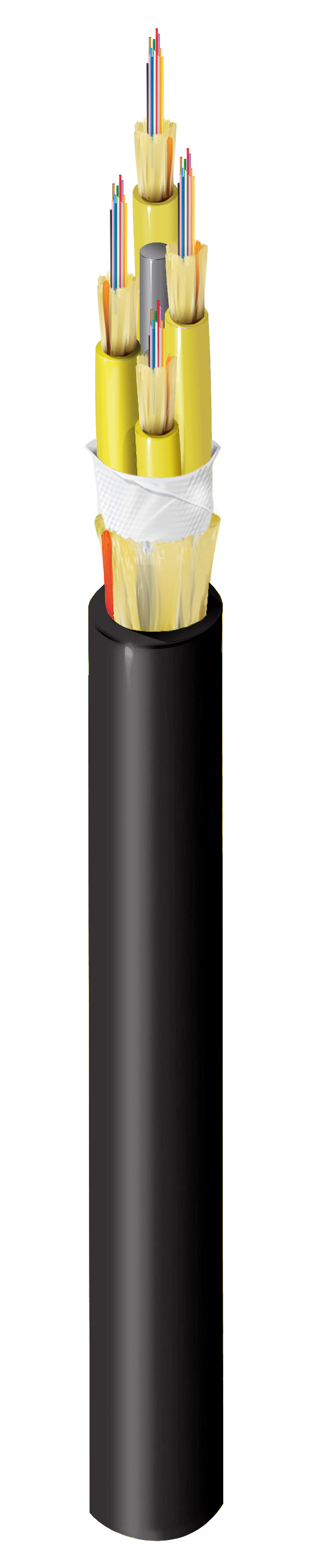 FDSM048P2