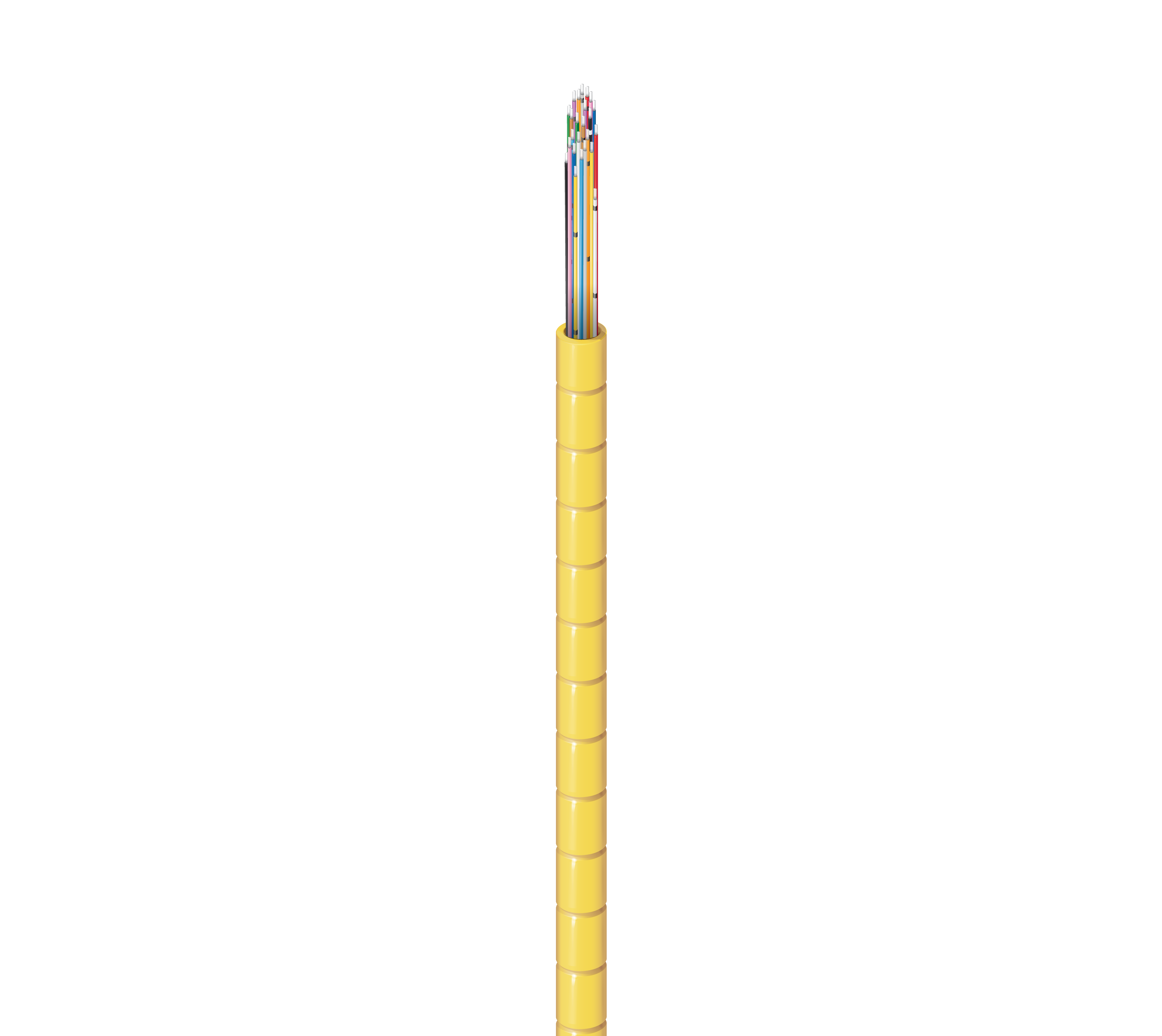 FISX024W0