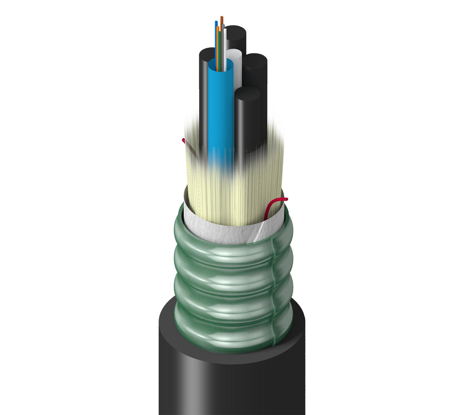TF-1LF-006-RS5